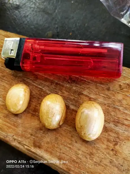 Mata cincin Kayu Sekar Jagad kayu Legenda Gunung Merapi