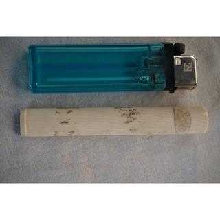 Biji Pipa Gading Ukuran 10 cm