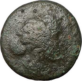 88 BC THESSALONICA Macedonia Ancient Greek Roman Coin Grapes CERTIFIED PAPER