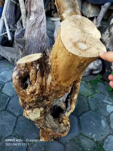 Kantil Bunga Merah Bahan besar siap dibuat produk