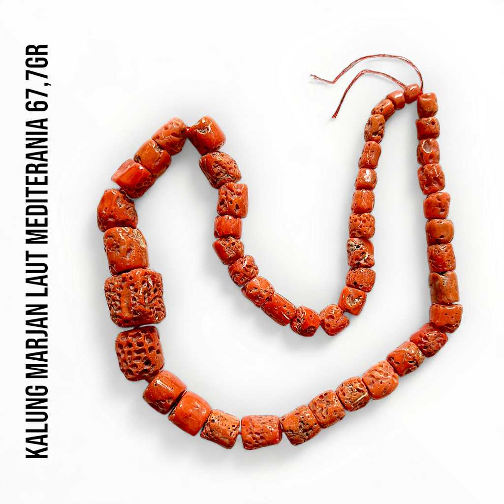 Kalung Marjan Corallium Rubrum Asli Laut Mediterania 67,76 Gram