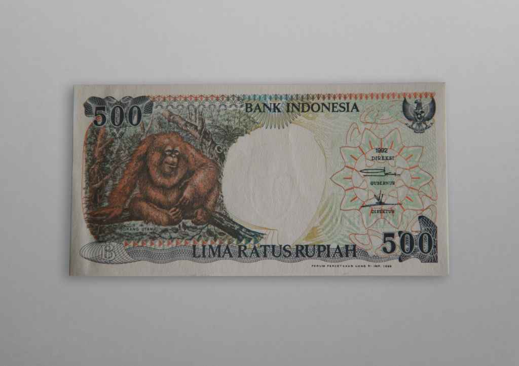 Uang Bank Indonesia Bergambar Orang Utan Rp.500 tahun 1992