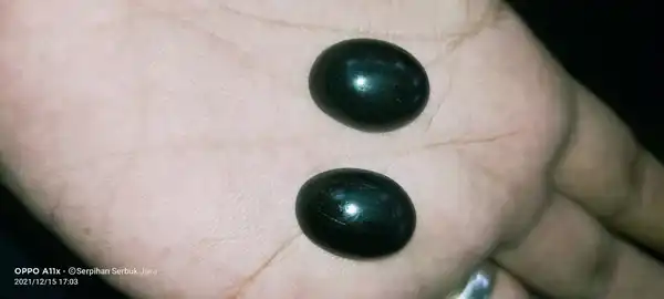 Jarak pager galih gandul mata cincin