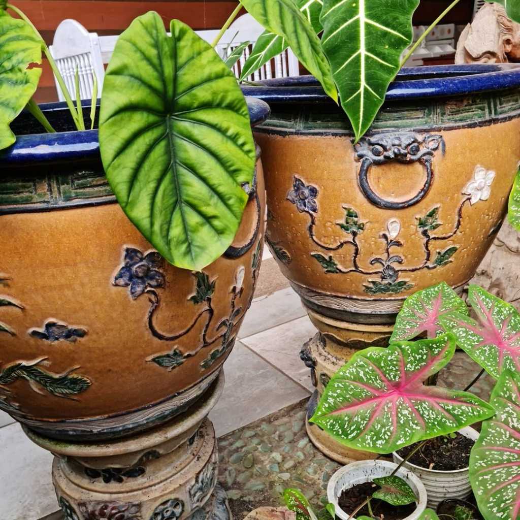 Pot Bunga Keramik Antik