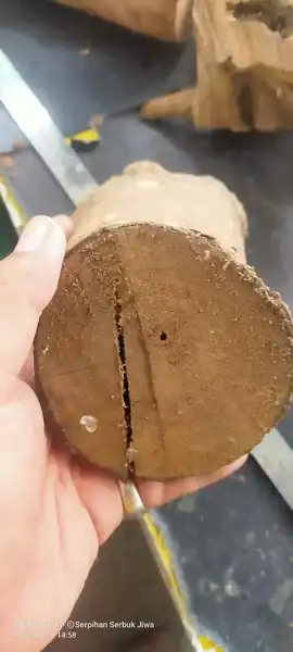 Kayu Pong Rampung Pantai Selatan