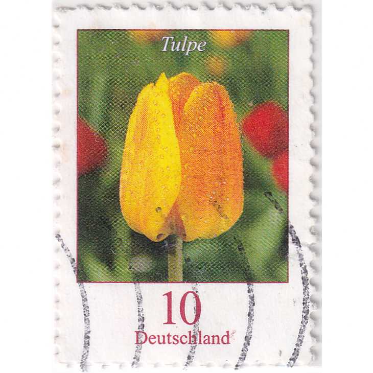 Prangko Germany 2005 - Definitive Issue - Flowers 10(C) Used