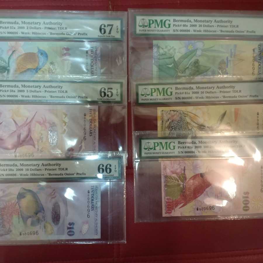 full set Bermuda series Pmg