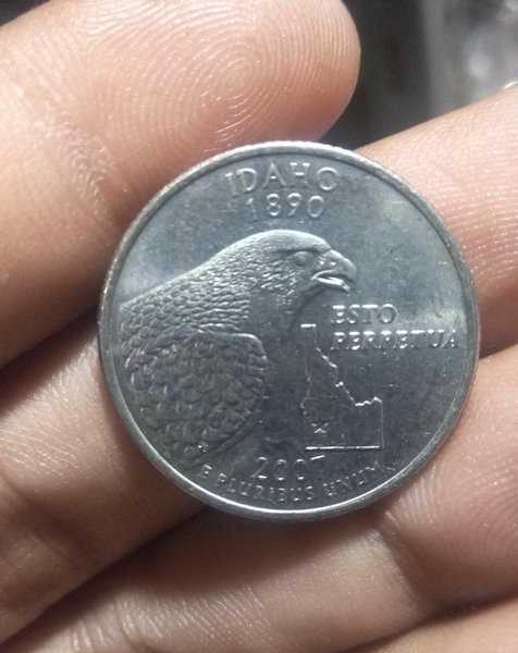 A 1969 Koin Quarter Dollar USA Negara Bagian IDAHO 2007 Bekas Pakai Kondisi Sesuai Gambar