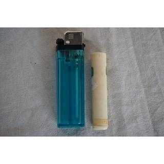 Biji Pipa Gading Ukuran 8 cm