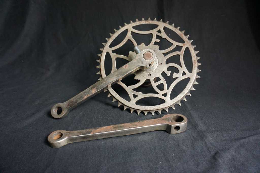 Gir Gazella Tua Belanda