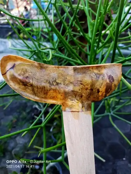 Gayaman Jogja Kayu Legenda Sekar Jagad Merapi motif unik