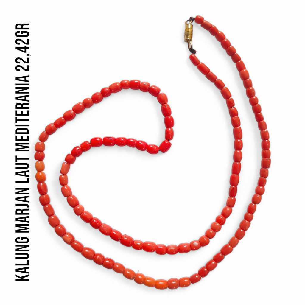 Kalung Marjan Corallium Rubrum Asli Laut Mediterania 22,42 Gram