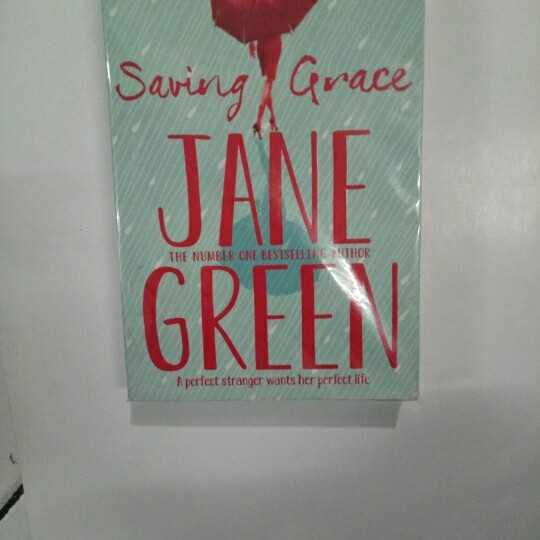 Novel Saving grace ; a perfect stranger wants her perfect life.
