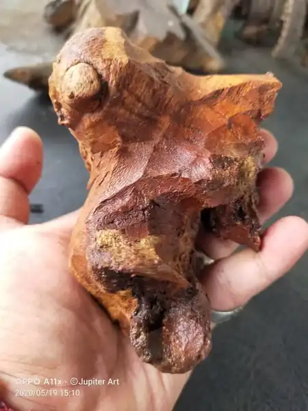 Galih gandul dadap srep merapi