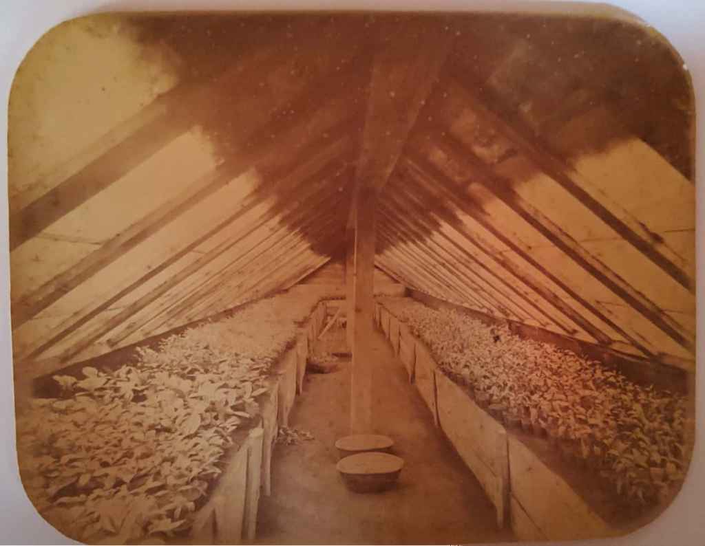 koleksi foto jadul estimasi tahun 1870-an (C0043)